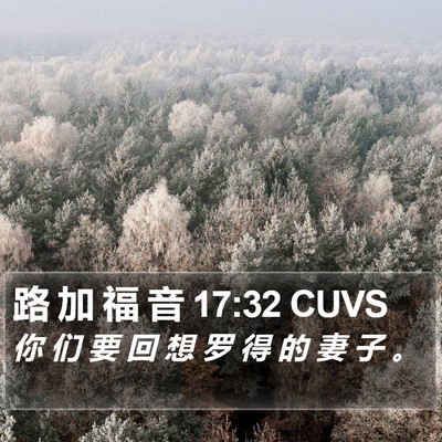路 加 福 音 17:32 CUVS Bible Verse Image