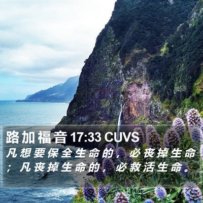 路 加 福 音 17:33 CUVS Bible Verse Image