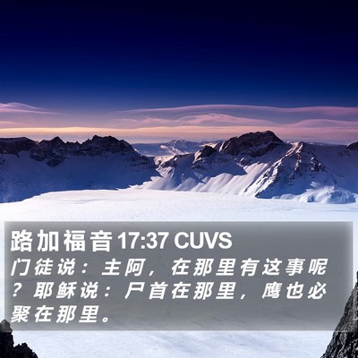 路 加 福 音 17:37 CUVS Bible Verse Image