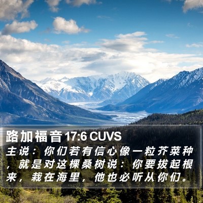 路 加 福 音 17:6 CUVS Bible Verse Image