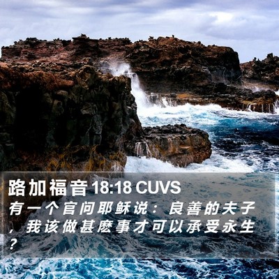 路 加 福 音 18:18 CUVS Bible Verse Image