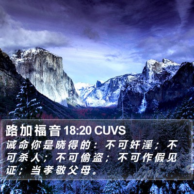 路 加 福 音 18:20 CUVS Bible Verse Image