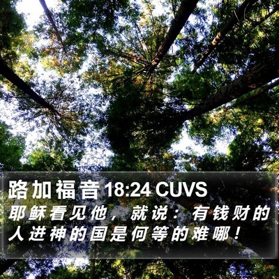 路 加 福 音 18:24 CUVS Bible Verse Image
