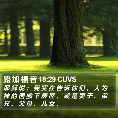 路 加 福 音 18:29 CUVS Bible Verse Image
