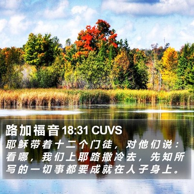 路 加 福 音 18:31 CUVS Bible Verse Image