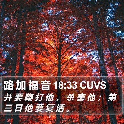路 加 福 音 18:33 CUVS Bible Verse Image