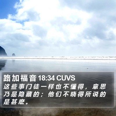 路 加 福 音 18:34 CUVS Bible Verse Image