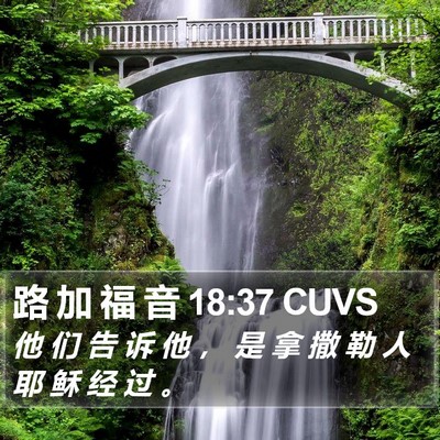路 加 福 音 18:37 CUVS Bible Verse Image