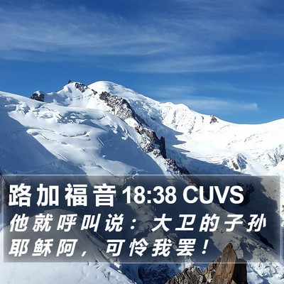 路 加 福 音 18:38 CUVS Bible Verse Image