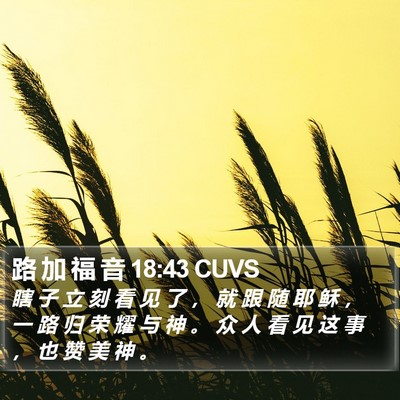 路 加 福 音 18:43 CUVS Bible Verse Image
