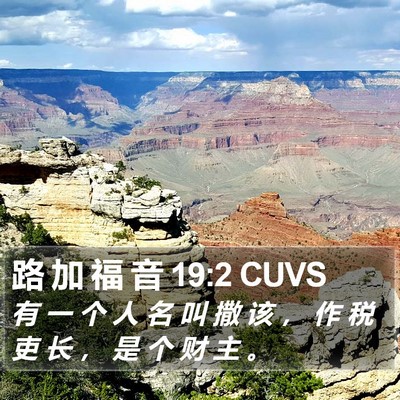 路 加 福 音 19:2 CUVS Bible Verse Image