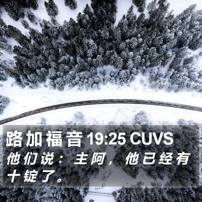 路 加 福 音 19:25 CUVS Bible Verse Image