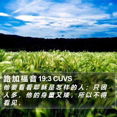 路 加 福 音 19:3 CUVS Bible Verse Image