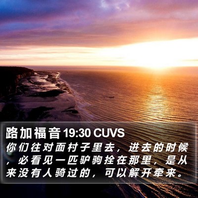 路 加 福 音 19:30 CUVS Bible Verse Image