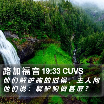 路 加 福 音 19:33 CUVS Bible Verse Image