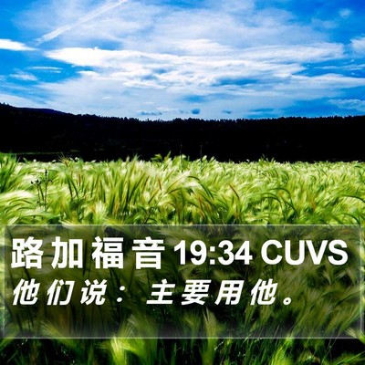 路 加 福 音 19:34 CUVS Bible Verse Image