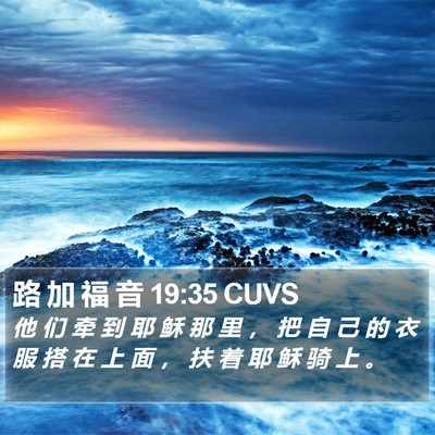 路 加 福 音 19:35 CUVS Bible Verse Image