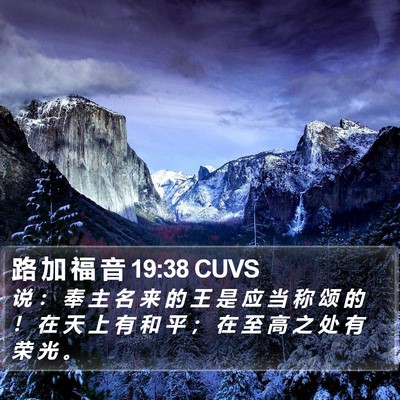 路 加 福 音 19:38 CUVS Bible Verse Image