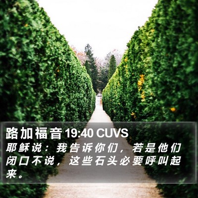 路 加 福 音 19:40 CUVS Bible Verse Image