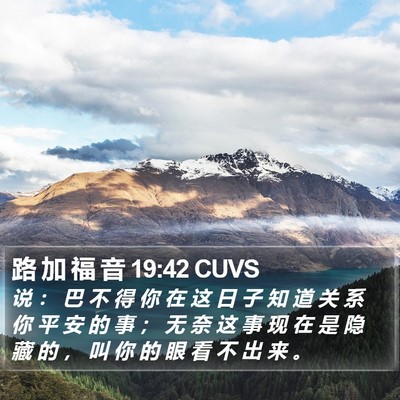 路 加 福 音 19:42 CUVS Bible Verse Image