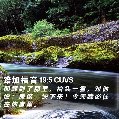 路 加 福 音 19:5 CUVS Bible Verse Image