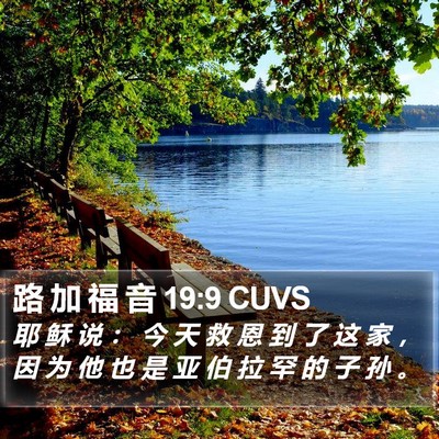 路 加 福 音 19:9 CUVS Bible Verse Image