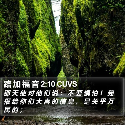 路 加 福 音 2:10 CUVS Bible Verse Image
