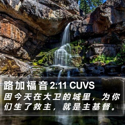 路 加 福 音 2:11 CUVS Bible Verse Image