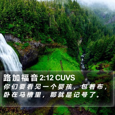 路 加 福 音 2:12 CUVS Bible Verse Image