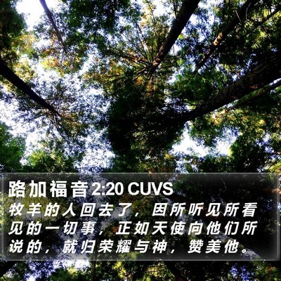 路 加 福 音 2:20 CUVS Bible Verse Image