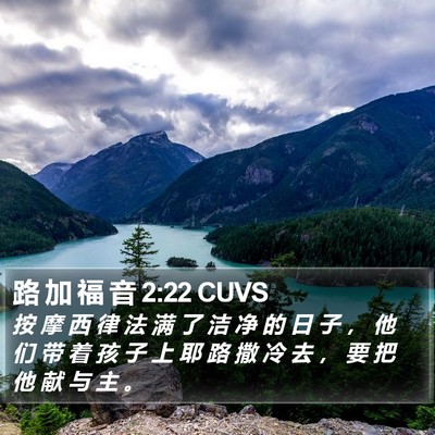 路 加 福 音 2:22 CUVS Bible Verse Image