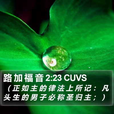 路 加 福 音 2:23 CUVS Bible Verse Image