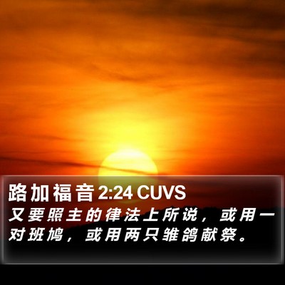 路 加 福 音 2:24 CUVS Bible Verse Image