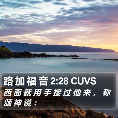 路 加 福 音 2:28 CUVS Bible Verse Image