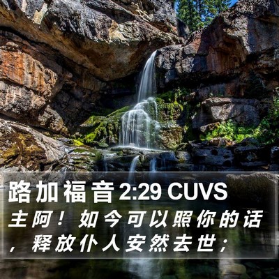 路 加 福 音 2:29 CUVS Bible Verse Image