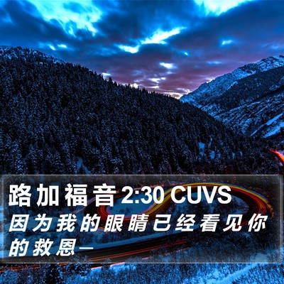 路 加 福 音 2:30 CUVS Bible Verse Image