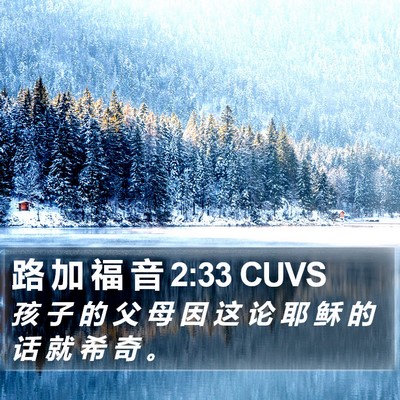 路 加 福 音 2:33 CUVS Bible Verse Image