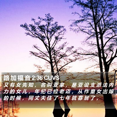路 加 福 音 2:36 CUVS Bible Verse Image
