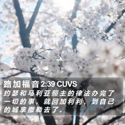 路 加 福 音 2:39 CUVS Bible Verse Image