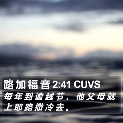 路 加 福 音 2:41 CUVS Bible Verse Image