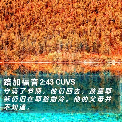 路 加 福 音 2:43 CUVS Bible Verse Image