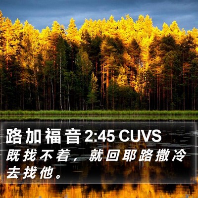 路 加 福 音 2:45 CUVS Bible Verse Image