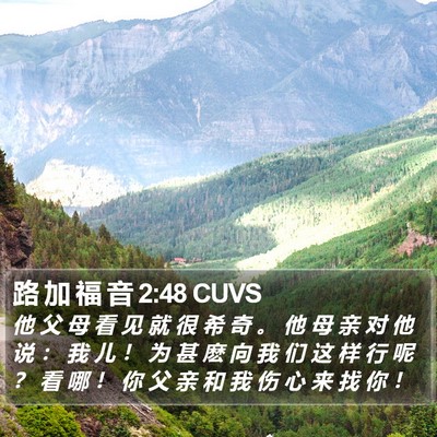 路 加 福 音 2:48 CUVS Bible Verse Image