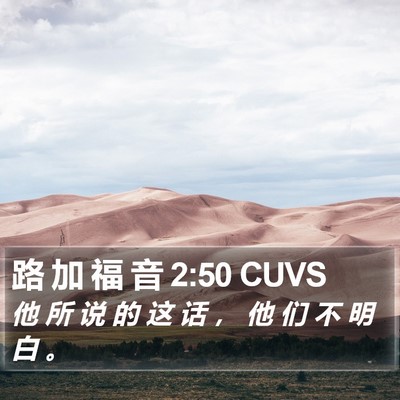 路 加 福 音 2:50 CUVS Bible Verse Image
