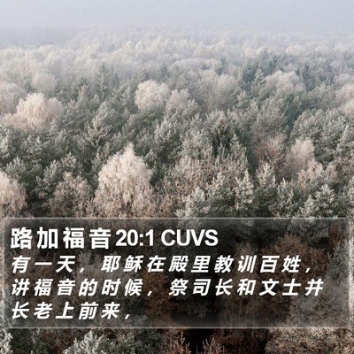 路 加 福 音 20:1 CUVS Bible Verse Image
