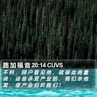路 加 福 音 20:14 CUVS Bible Verse Image