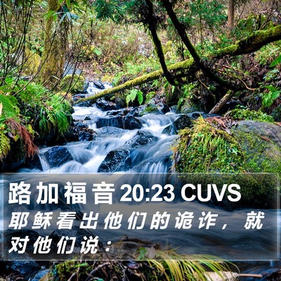 路 加 福 音 20:23 CUVS Bible Verse Image