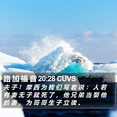 路 加 福 音 20:28 CUVS Bible Verse Image