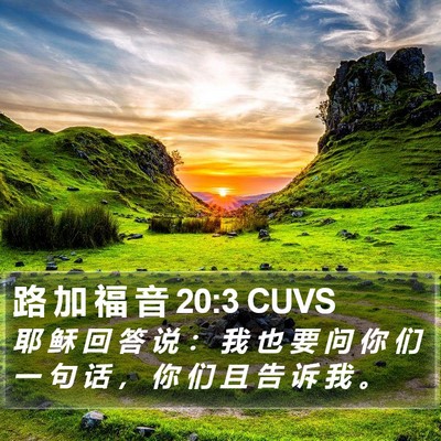 路 加 福 音 20:3 CUVS Bible Verse Image