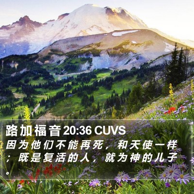 路 加 福 音 20:36 CUVS Bible Verse Image